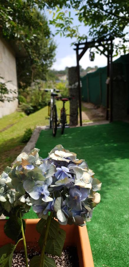 Quinta De Carvalhal - Casa De Campo ギマランイス エクステリア 写真